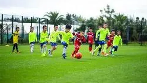 爱游戏体育 资讯 083304 v1u