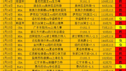 “中国国家足球队最新一期集训名单公布”